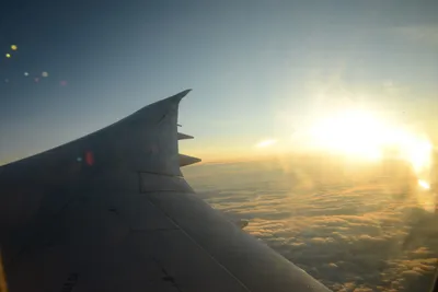 DSC_9798 (Large).JPG